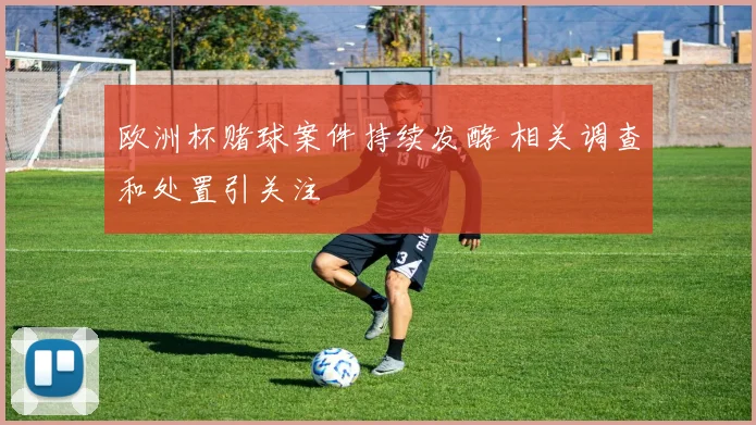 欧洲杯赌球案件持续发酵 相关调查和处置引关注