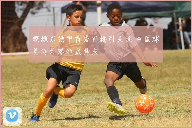 樊振东德甲首秀直播引关注 中国球员海外赛程成焦点
