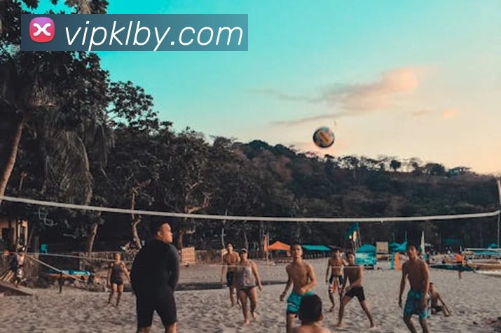 kaiyun官方平台平台生态图